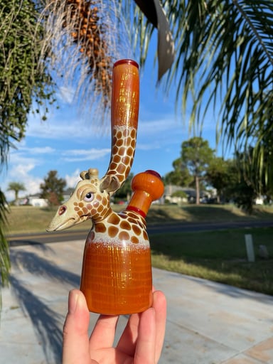 Preview pic of Robertson x D Parks collab