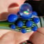 Small image 4