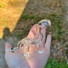Small image 2
