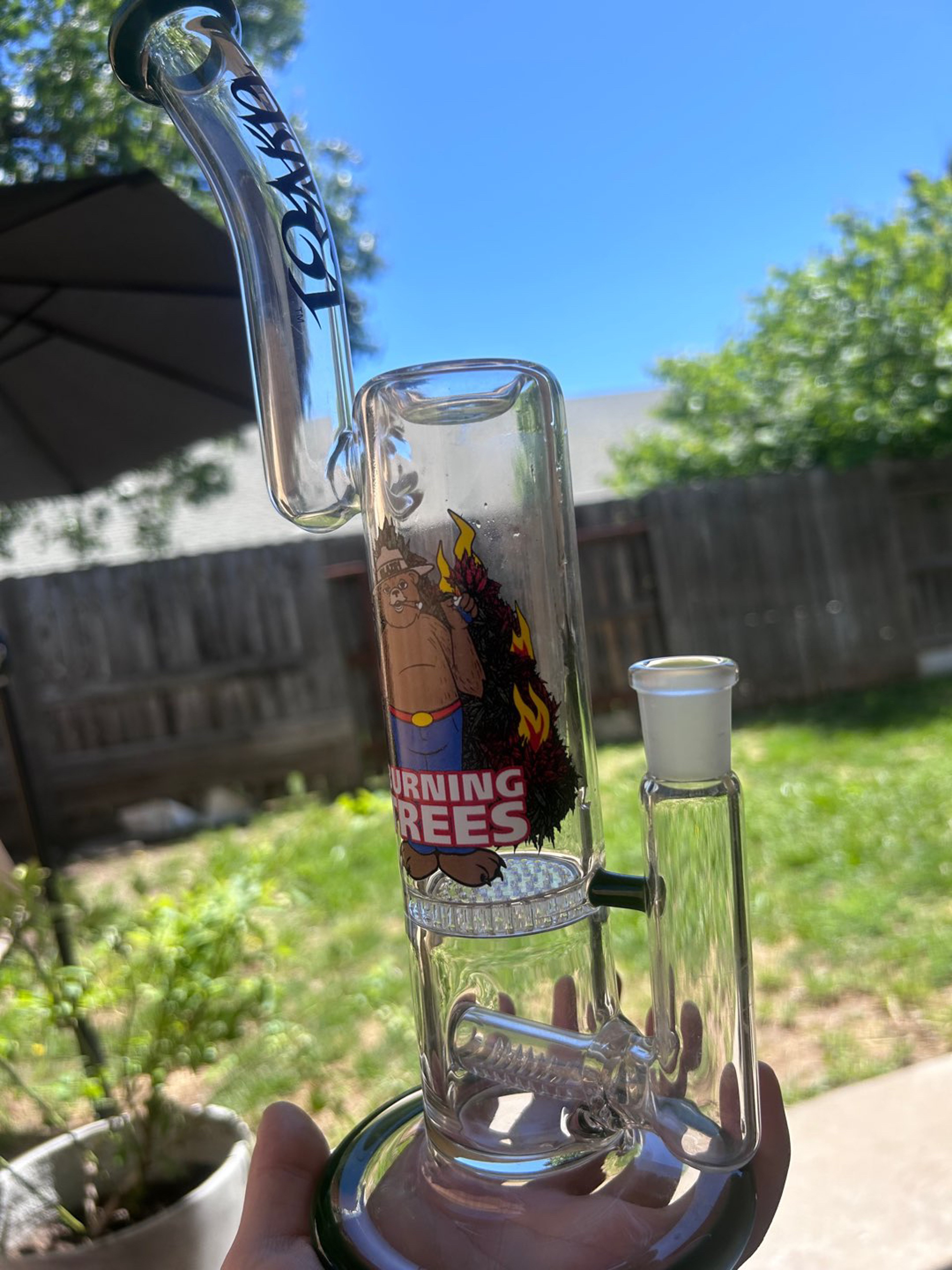 Preview pic of Smokey the bear dab rig