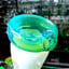 Small image 7
