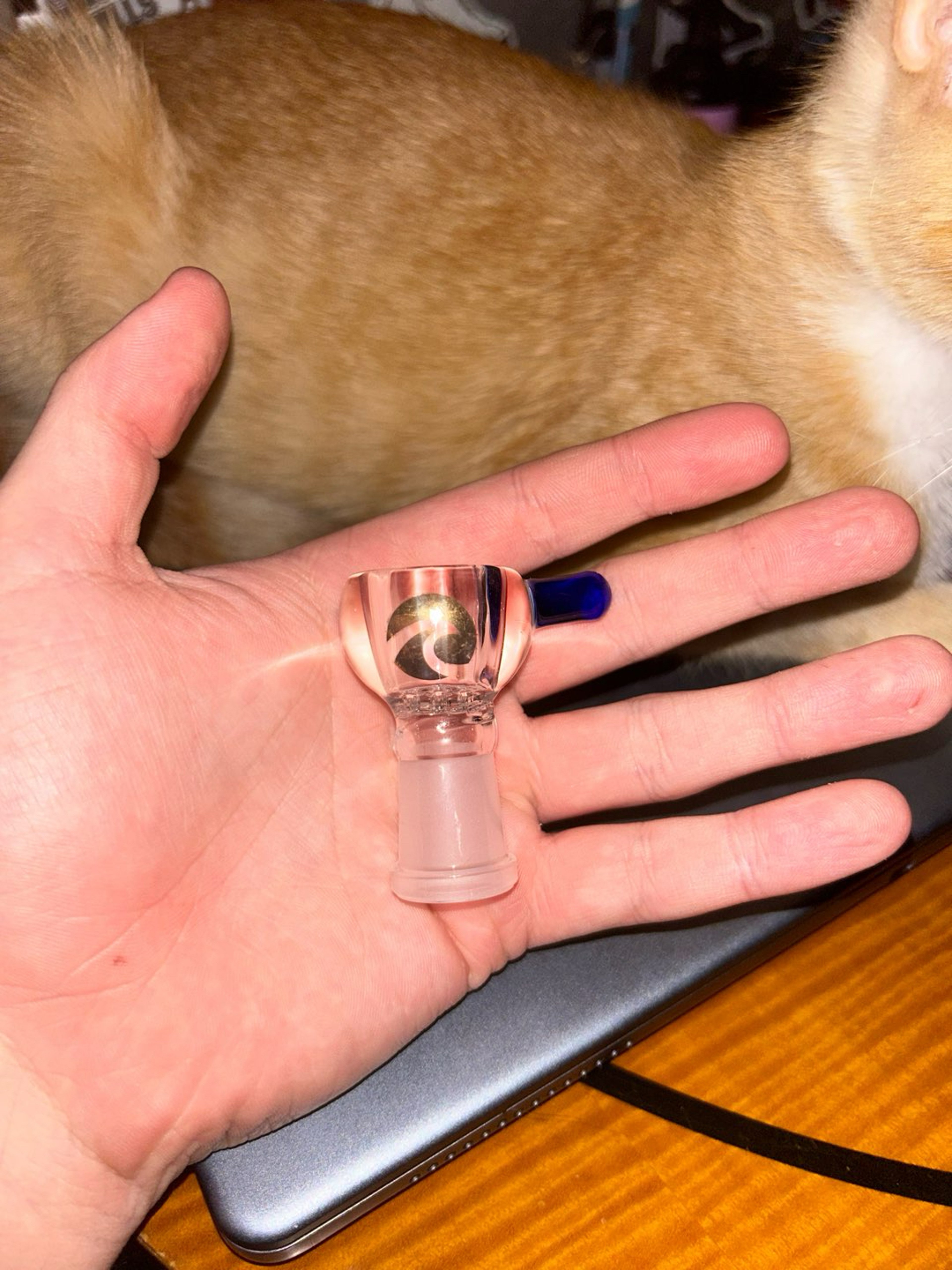 Preview pic of Tsunami 7-Hole Female 14mm Slide / Bowl