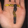 Small image 1