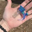 Small image 2