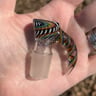 Small image 1