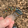 Small image 4