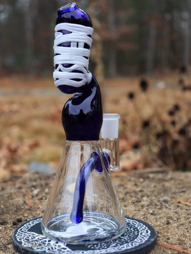 Preview pic of Danny Camp Blue Mummy Beaker Rig