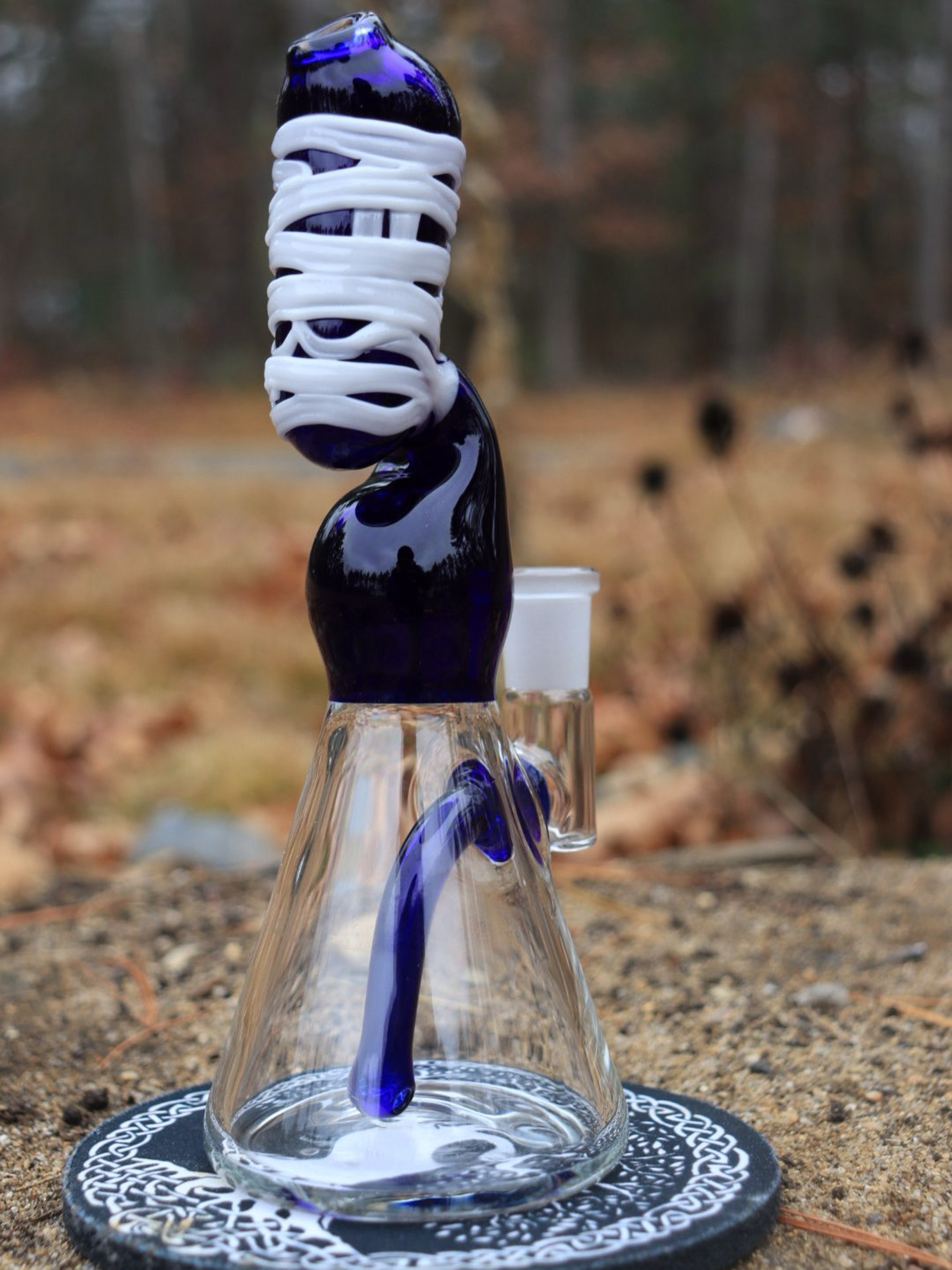 Preview pic of Danny Camp Blue Mummy Beaker Rig
