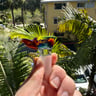 Small image 4