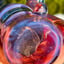 Small image 5