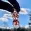 Small image 6