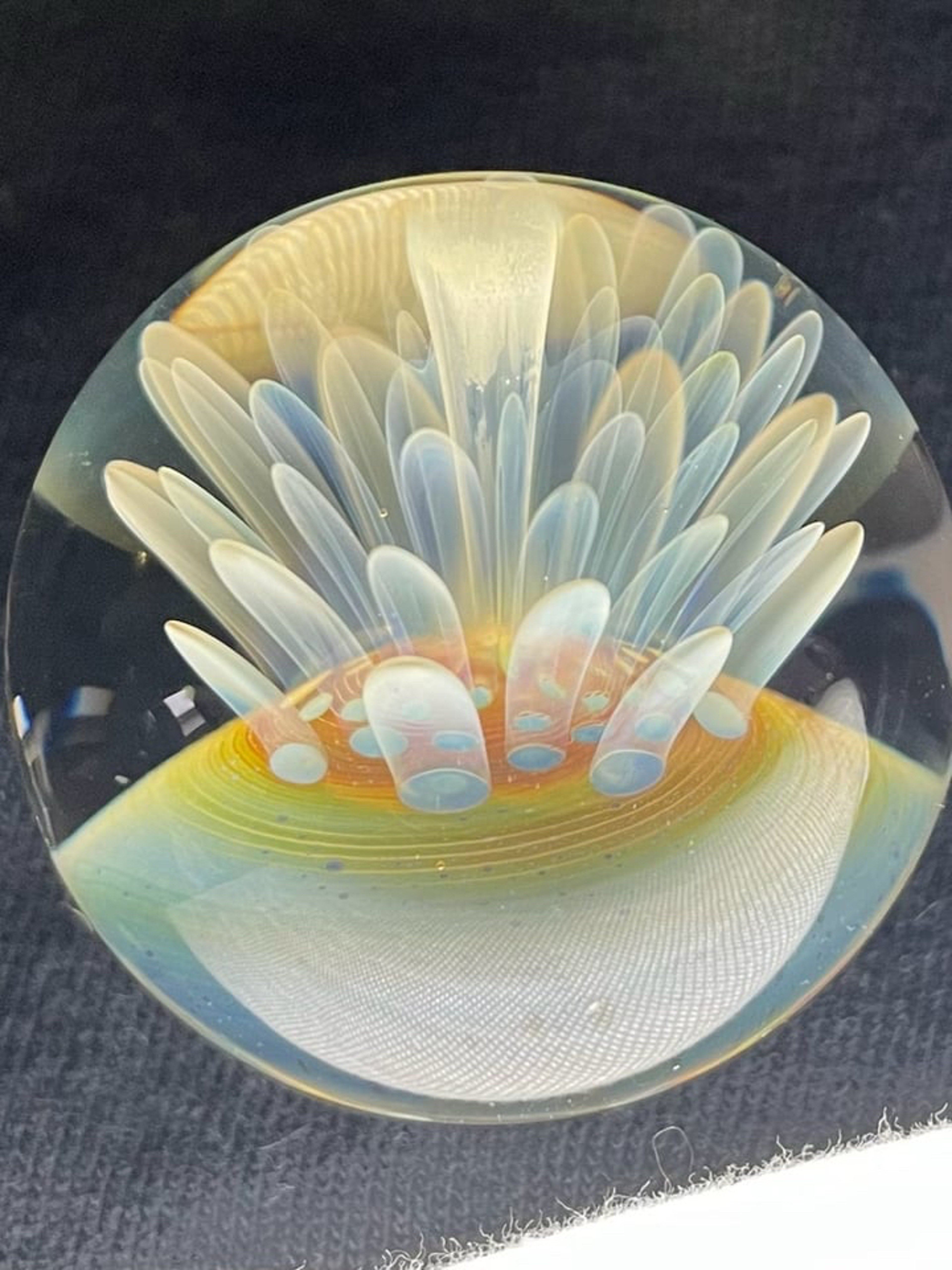 Preview pic of Stressless / Kevin Nail Sunflower Fume signed KCN 09’