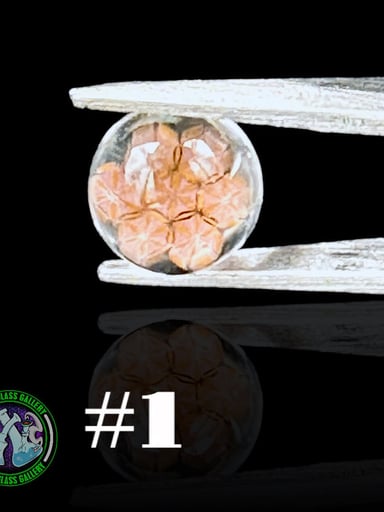 Preview pic of Steve H Glass - Terp Pearl #1 - Milli 6mm