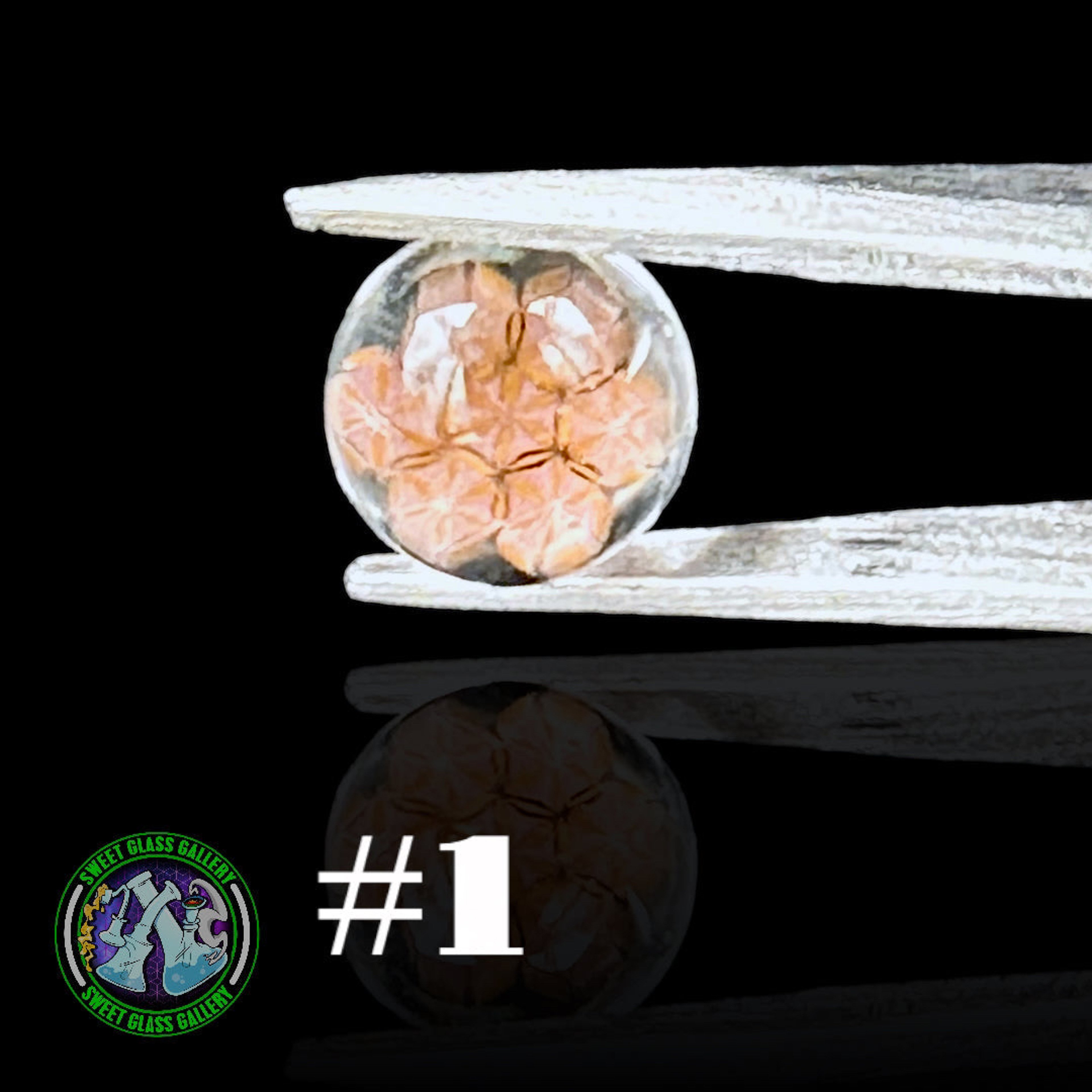 Preview pic of Steve H Glass - Terp Pearl #1 - Milli 6mm