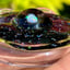 Small image 7