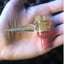 Small image 0