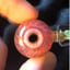 Small image 5