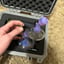 Small image 8