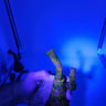 Small image 4