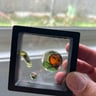 Small image 0