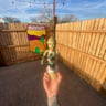 Small image 1