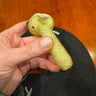 Small image 3