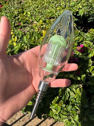 Preview pic of Cali cloudx oval tree nectar collector green