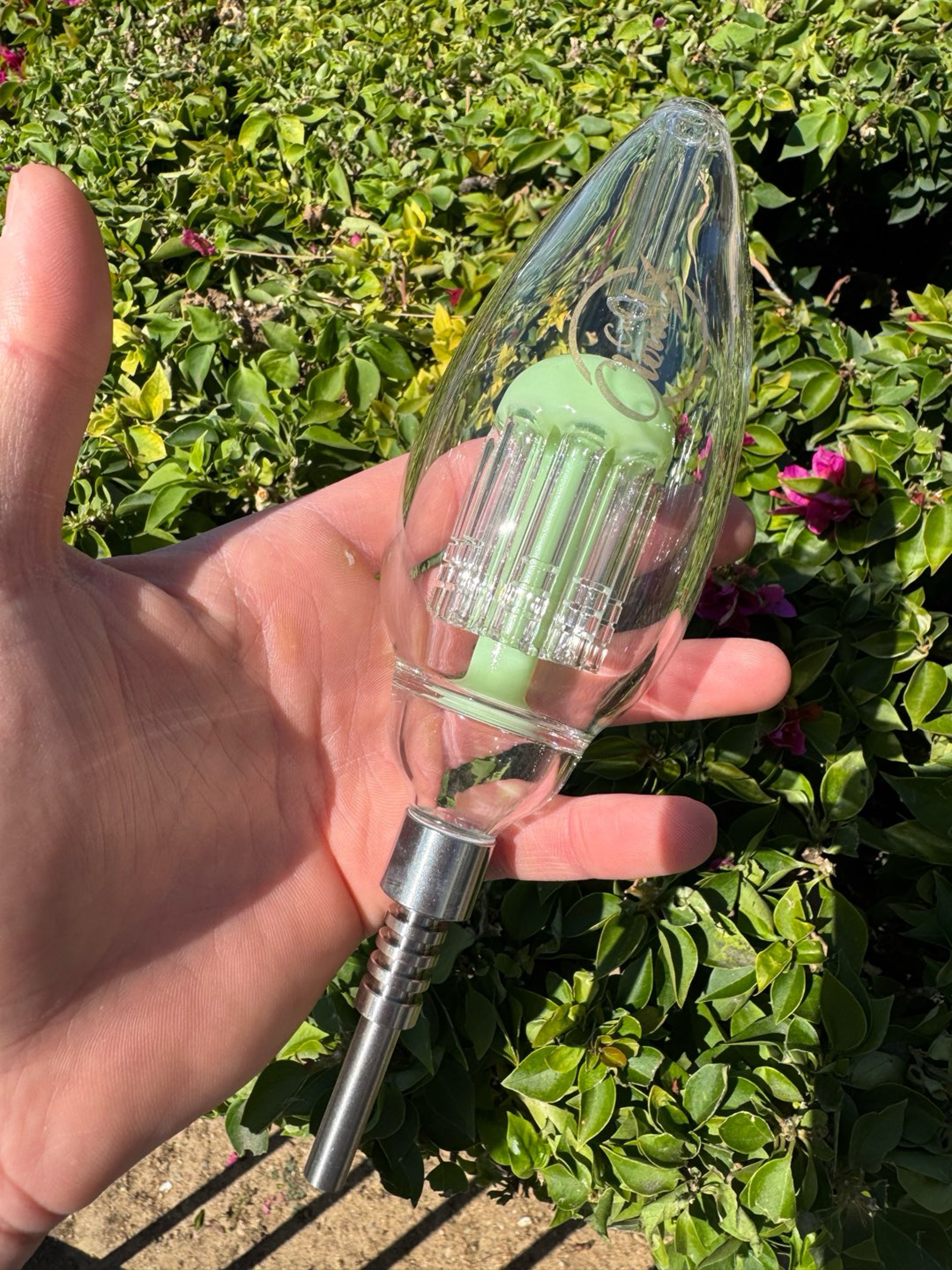 Preview pic of Cali cloudx oval tree nectar collector green