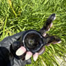 Small image 1