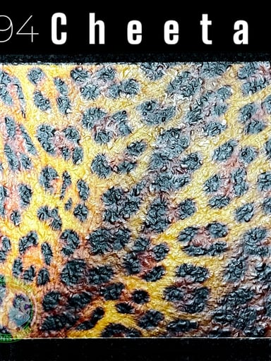 Preview pic of Moodmats - Dab Mat #94 - Cheetah