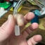 Small image 4