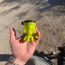 Small image 2