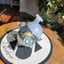 Small image 6