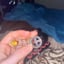 Small image 8