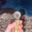 Small image 7