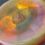 Small image 7