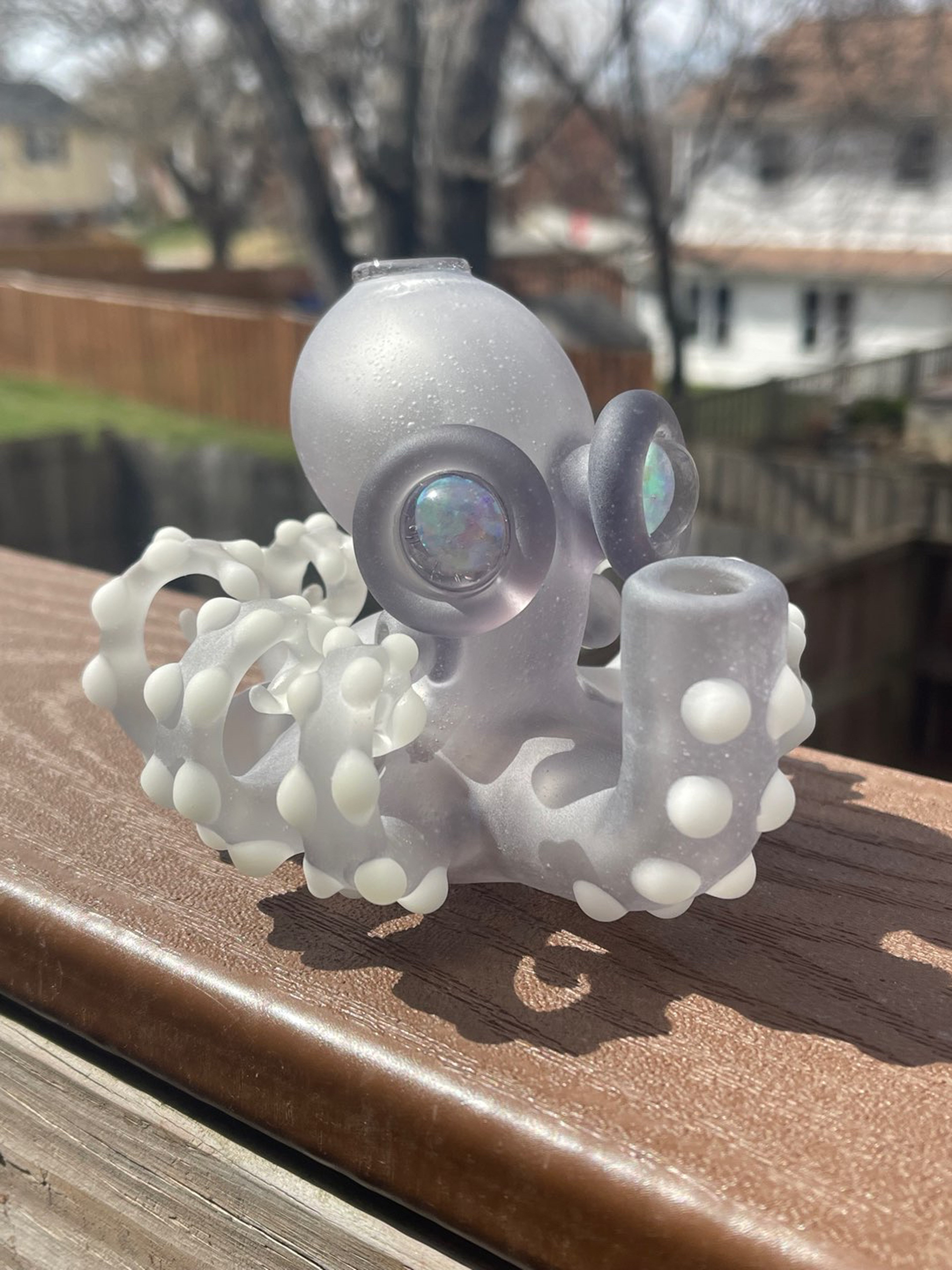 Preview pic of Glass Octopus