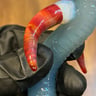 Small image 1