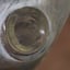 Small image 7