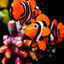 Small image 9