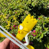 Small image 4