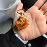 Small image 2