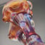 Small image 9