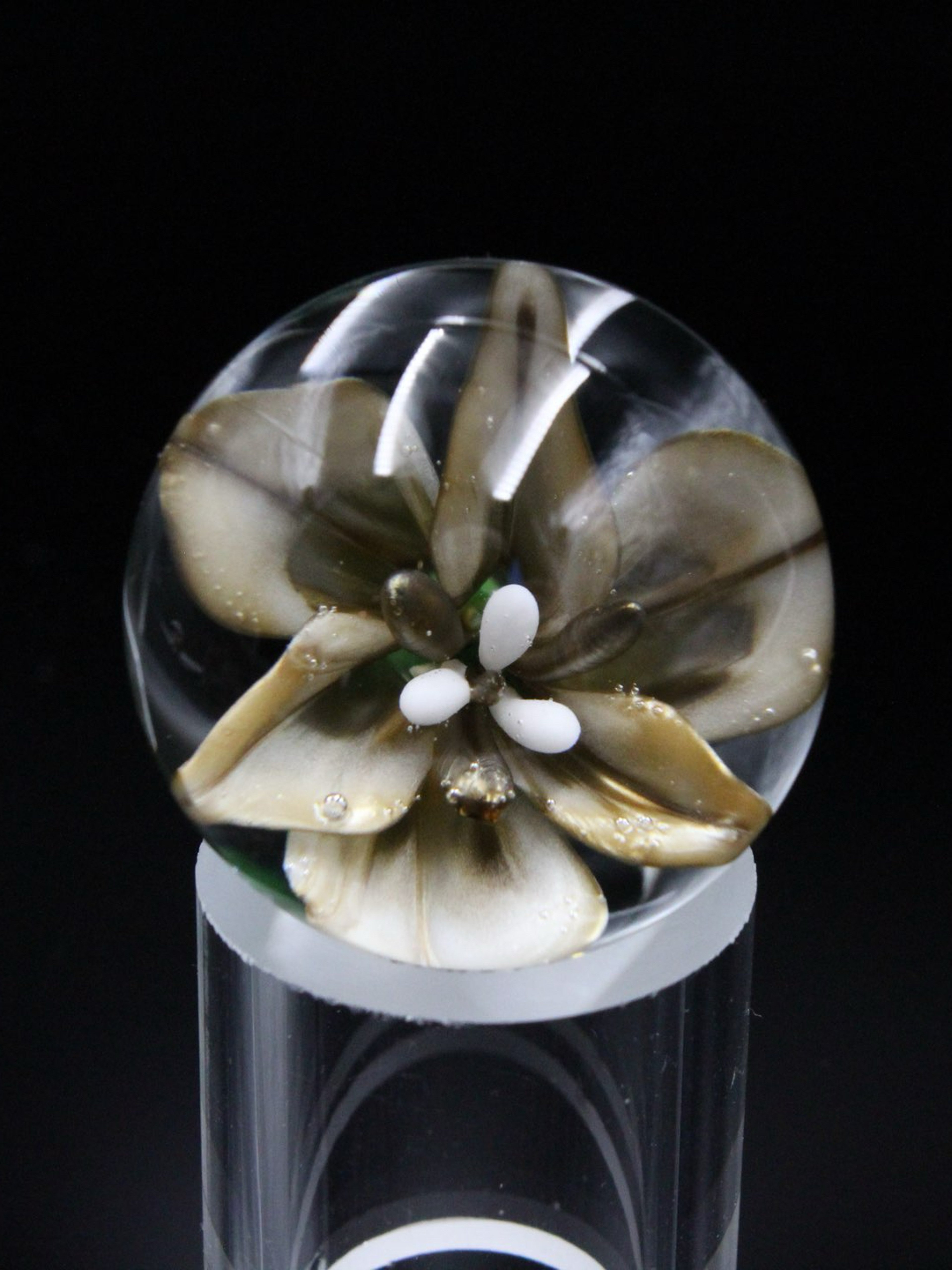 Preview pic of Electrum over Star White