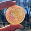 Small image 6