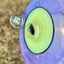 Small image 8