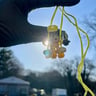 Small image 5