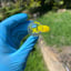 Small image 7