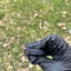 Small image 6