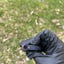 Small image 7